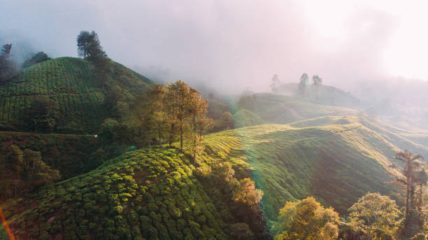 Munnar